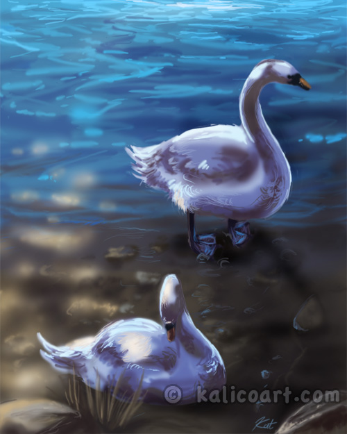 Swans