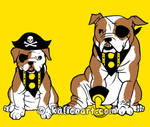 Pirate Bulldogs