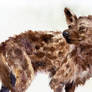 Spotted Hyena