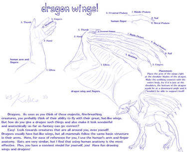 Dragon Wing Tutorial