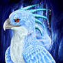 Phoenix of the Ice Caves