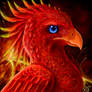 Phoenix of the Volcanoes