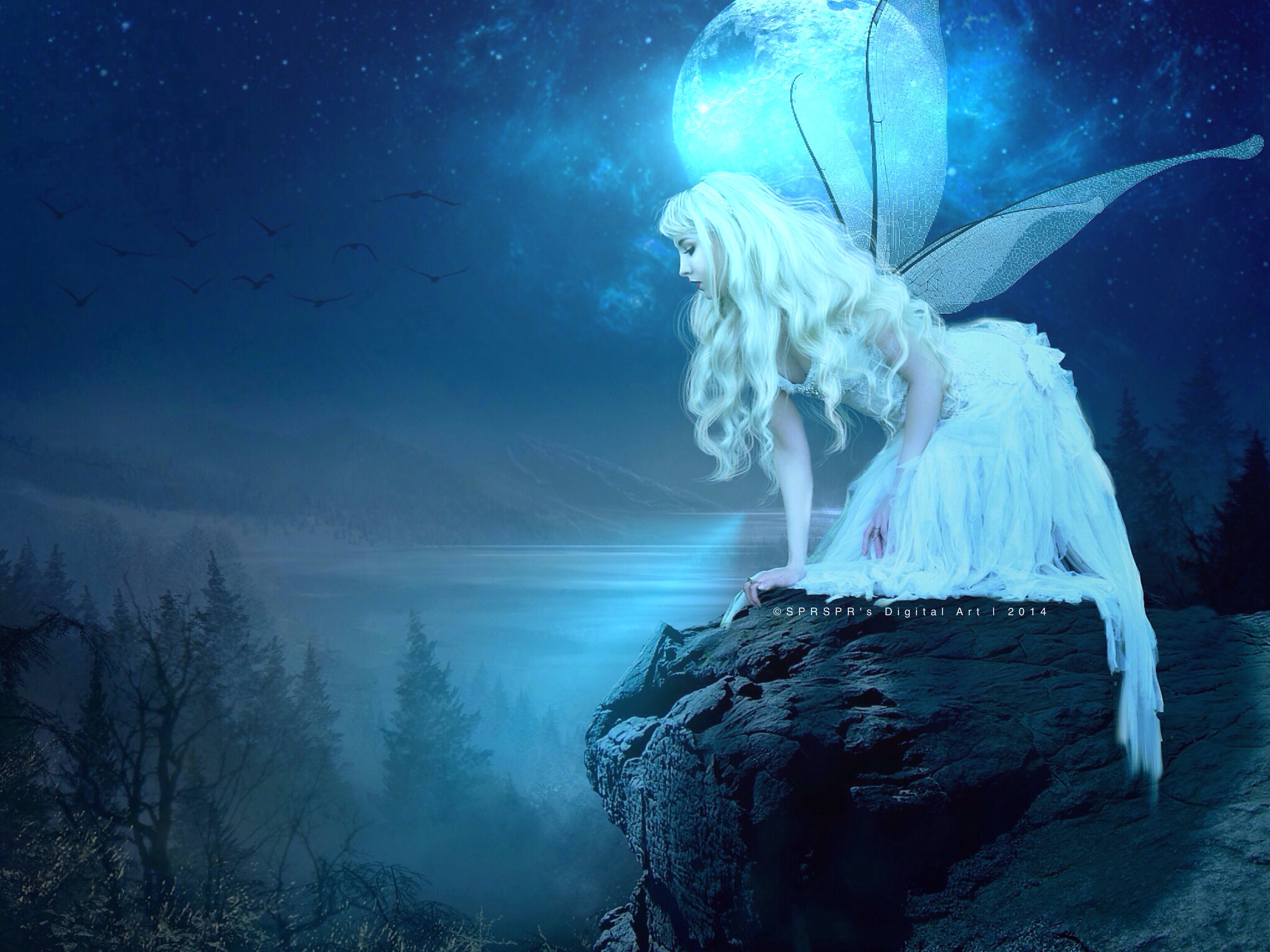 Night Fairy