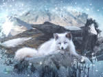 Winter fox by SYLVIAsArt