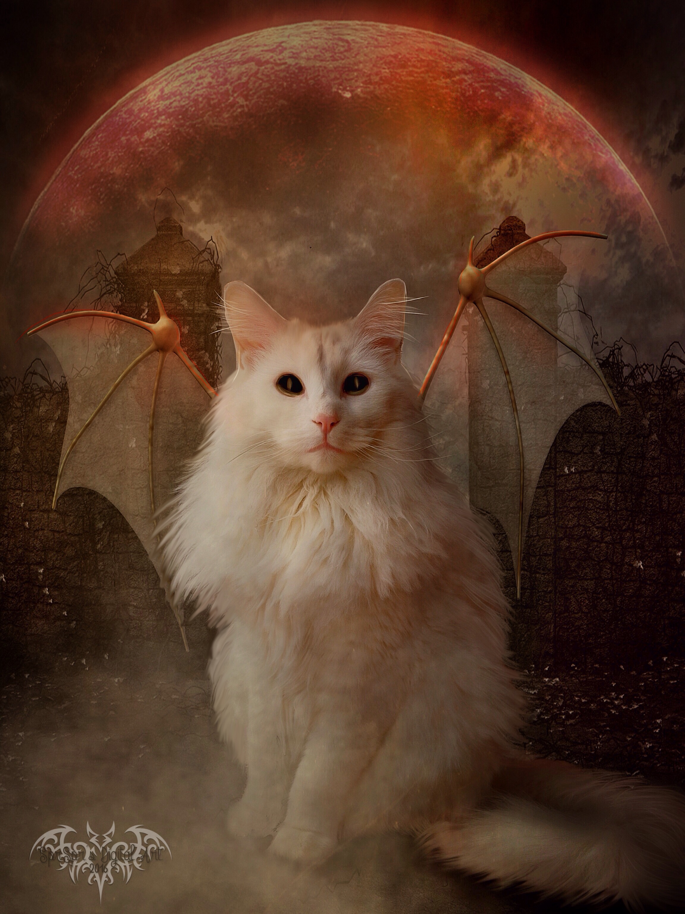 Demon Cat Script Demon Cat by SYLVIAsArt on DeviantArt