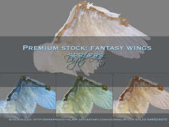 Realistic Wing - Update 02 by Sunnybrook1 on DeviantArt