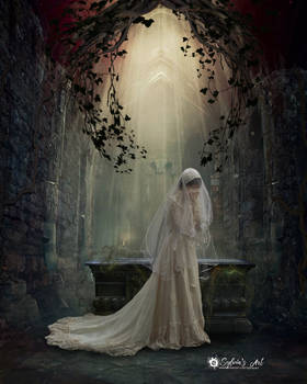 The eternal widow