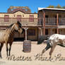 Western Prize Ranch