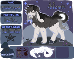 Artemis New Registration by Hootsewers