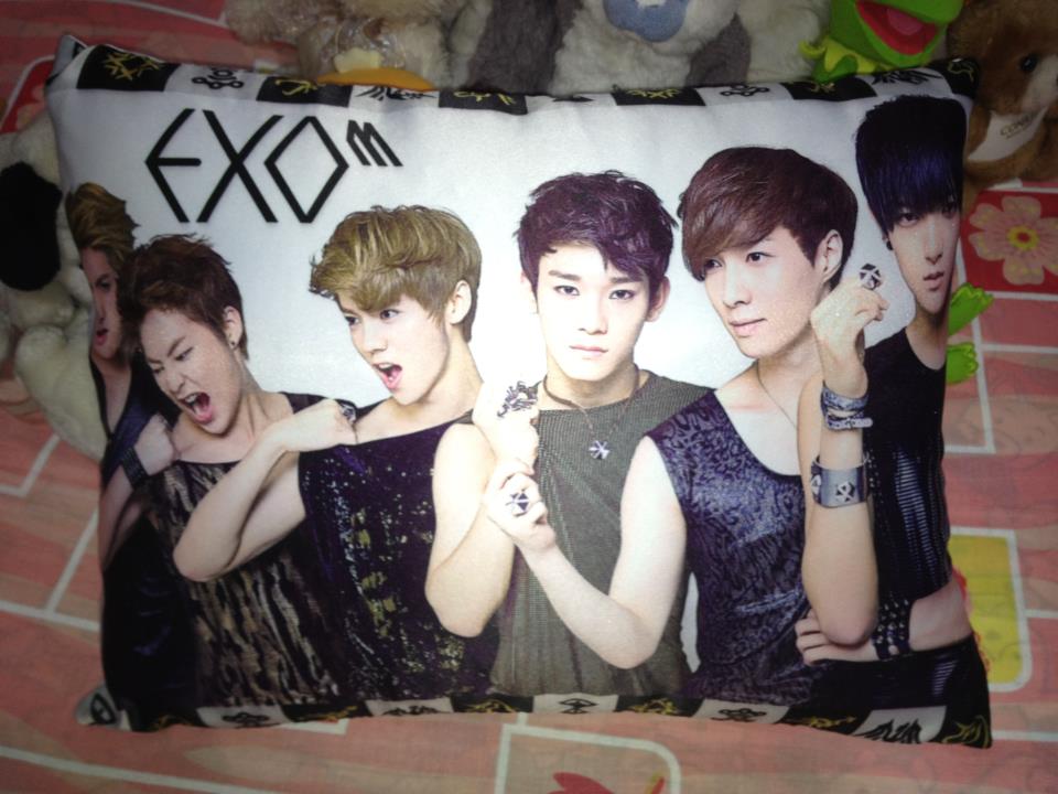 Exo-m Pillow