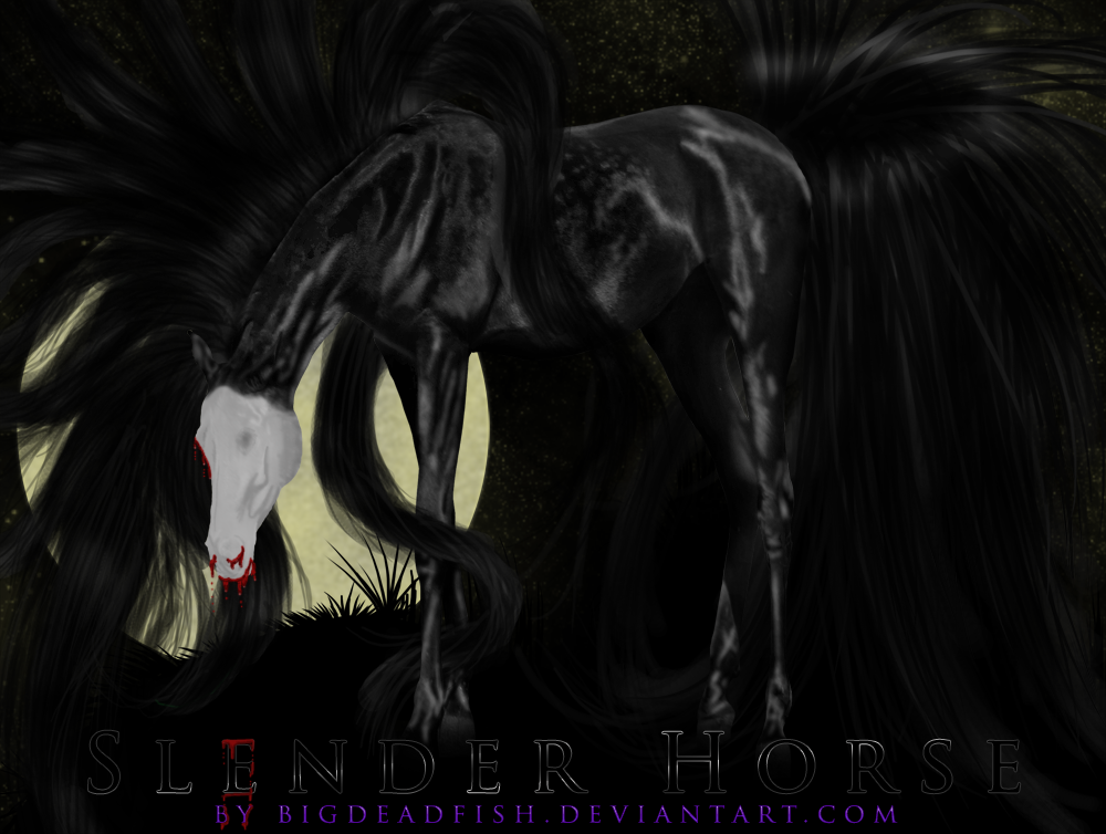 The Slender Horse