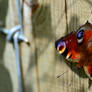 Gate Guardian