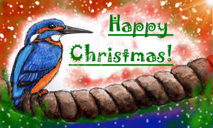 Happy Christmas Kingfisher!