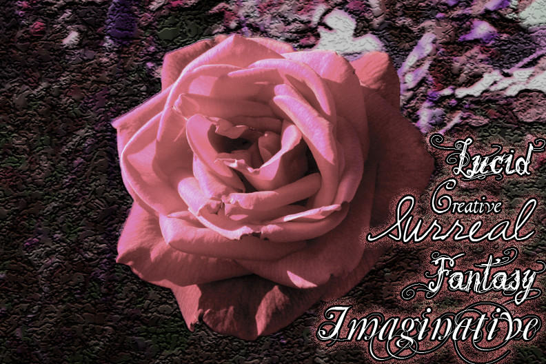 Surreal Rose by ravynfaire on DeviantArt