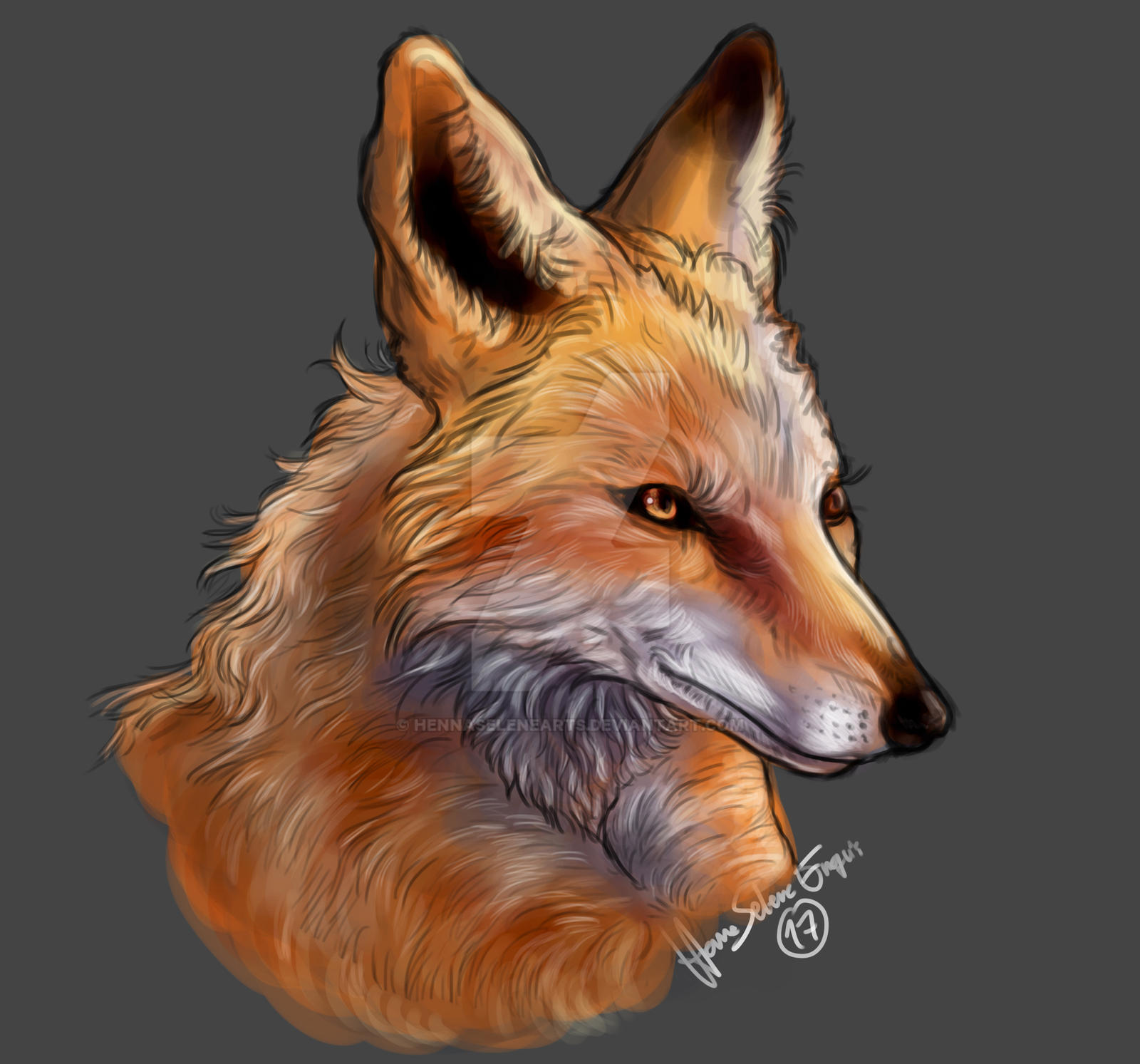 Fox Example Commission example: Fox by Hennaselenearts on DeviantArt