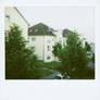 polaroid my neighborhood