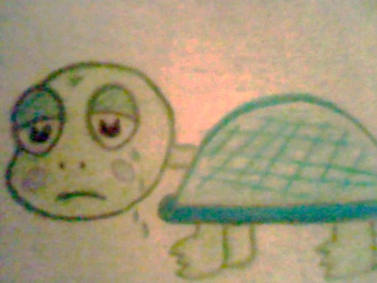 Turtle Depression Depressed Turtle 2 Min. Sketch by KacieeBearrLovee on DeviantArt