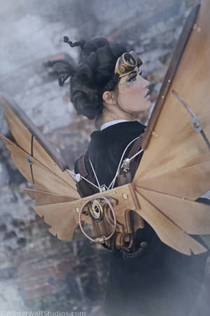 Steampunk Icarus Wings MK3 2 by steampunk22