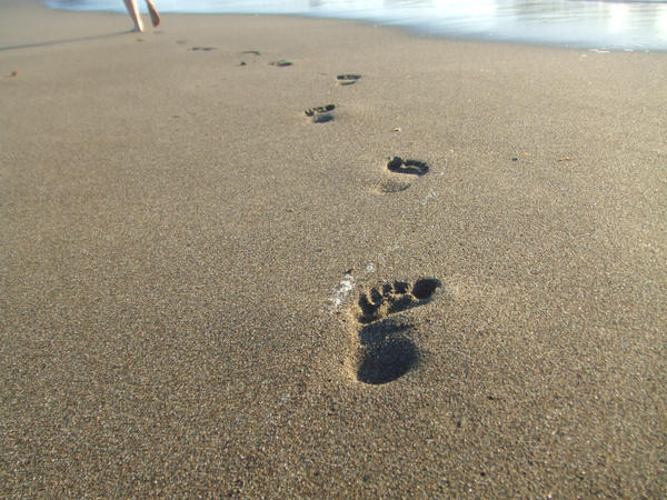 Sandy Path by PerfectZombie on DeviantArt