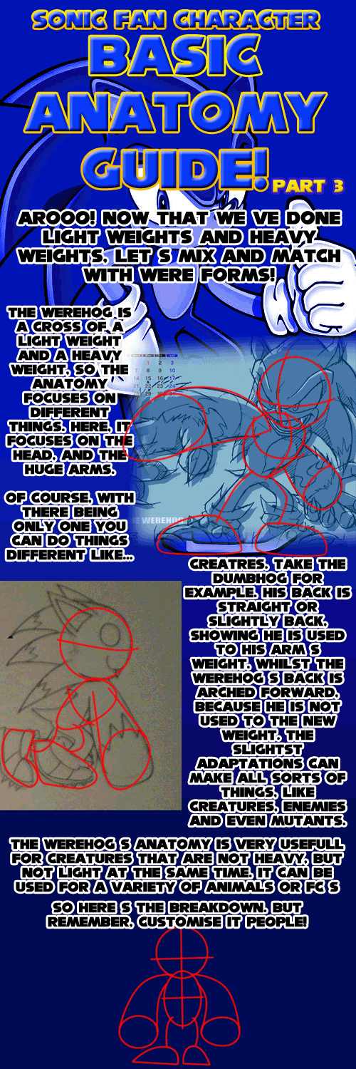 Sonic Anatomy Guide Part 3