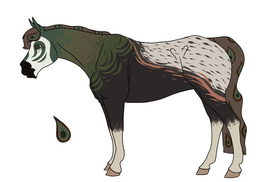 PeaFrie Foal Design