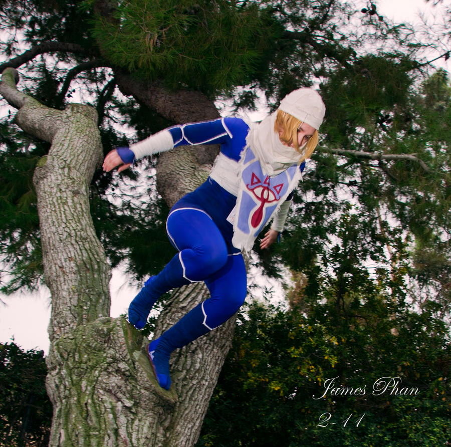 Sheik leaps into the fray