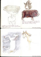 Jorge Orwell's Animal Farm characters