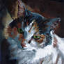 Calico in the Light