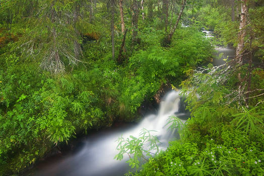 River Running