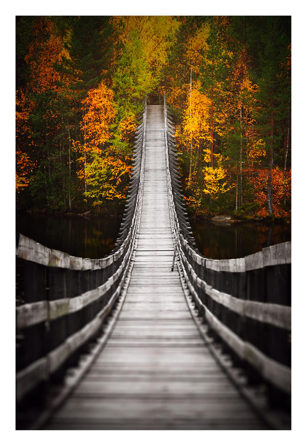 Bridge into Autumn by jjuuhhaa