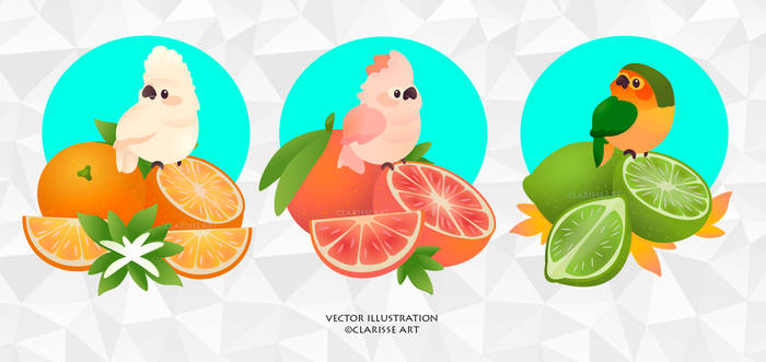 Birds and Fruits - Kawaii