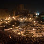 The Egyptian Revolution