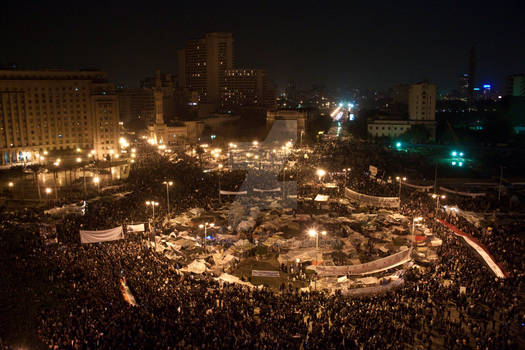 The Egyptian Revolution