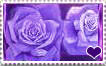 i_love_purple_roses_stamp_by_violette_an