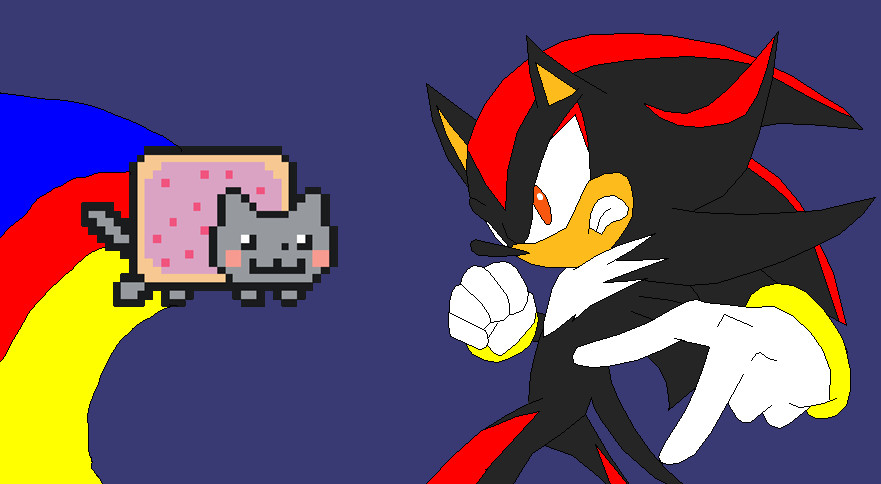 Shadow The Hedgehog VS Nyan Cat