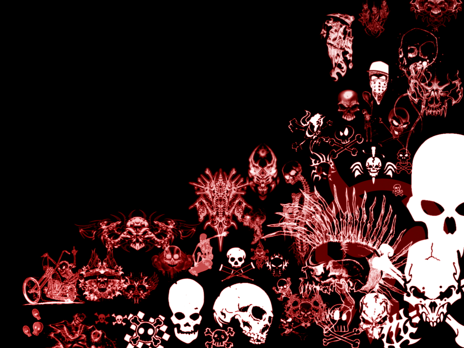 Skulls - Wallpaper