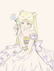 Princess Serenity colored