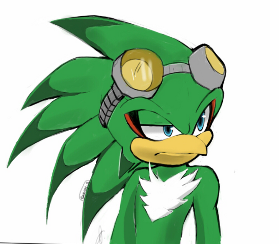 Jet The Hawk By Onyx Silver On Deviantart,Who Would Wave Date Poll Results ...