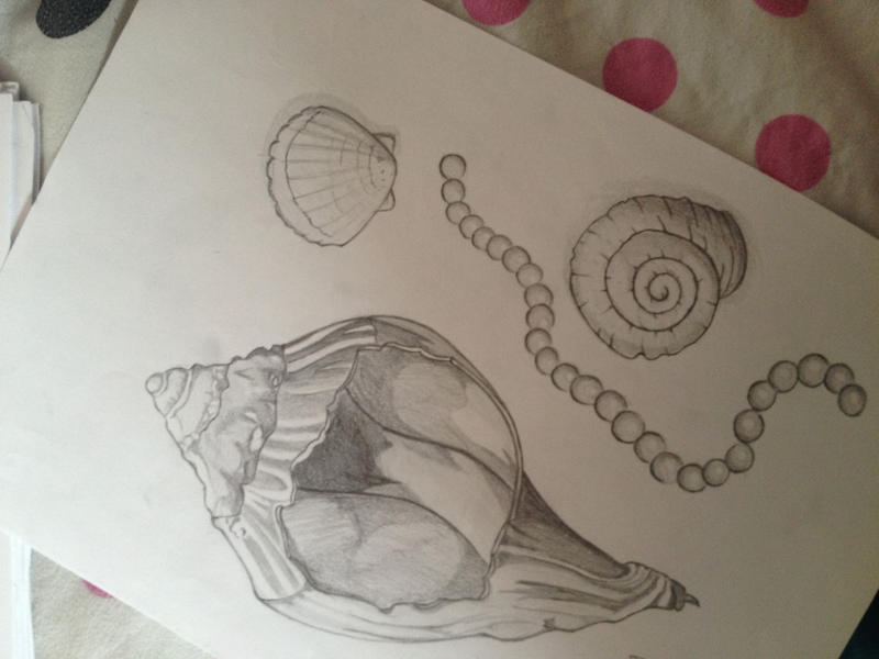 Shells by iHeartSanrio on DeviantArt