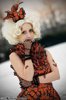 Effie in the winter