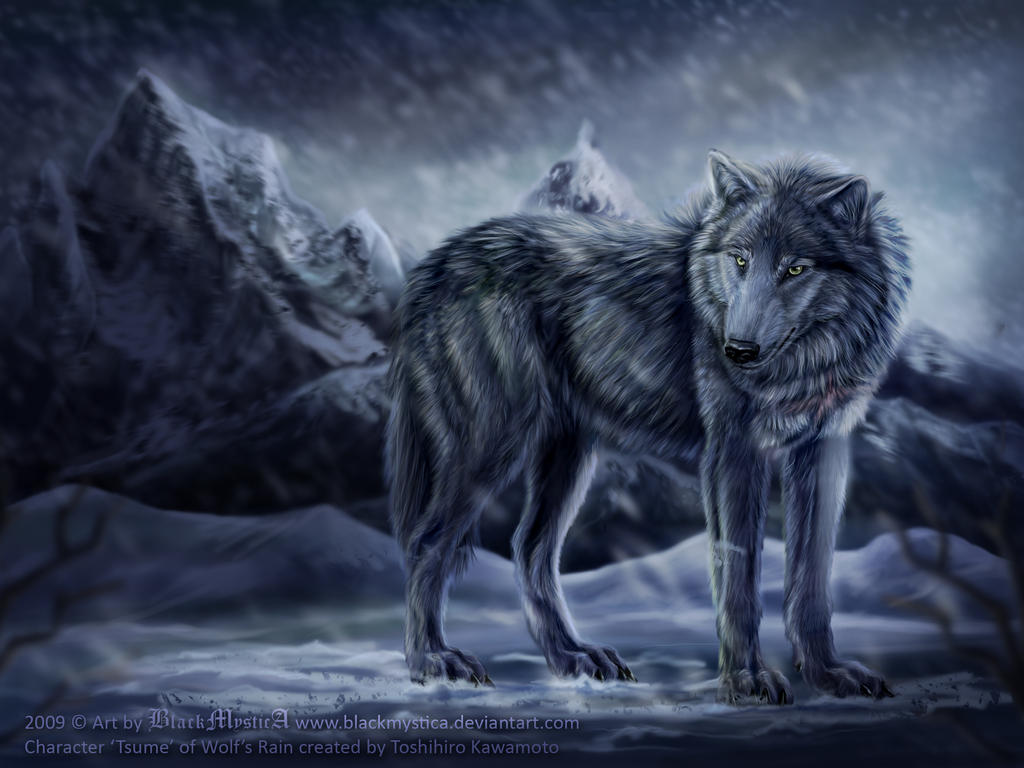 Tsume from Wolf's Rain by FelisGlacialis on DeviantArt