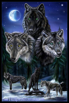 Wolfbrothers