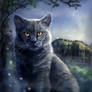 Chartreux