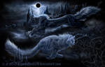 Norwegian darkness -1 by FelisGlacialis