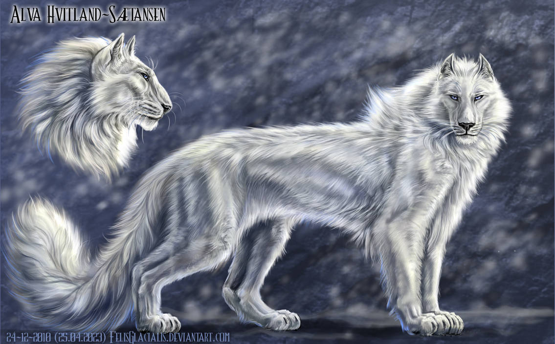 Alva reference sheet by FelisGlacialis on DeviantArt