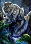 British Longhair by FelisGlacialis
