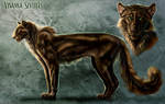 Vivanna charactersheet by FelisGlacialis