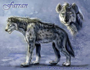 Farran charactersheet