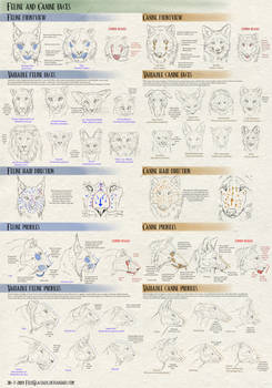 Felines vs Canines tutorial - Faces