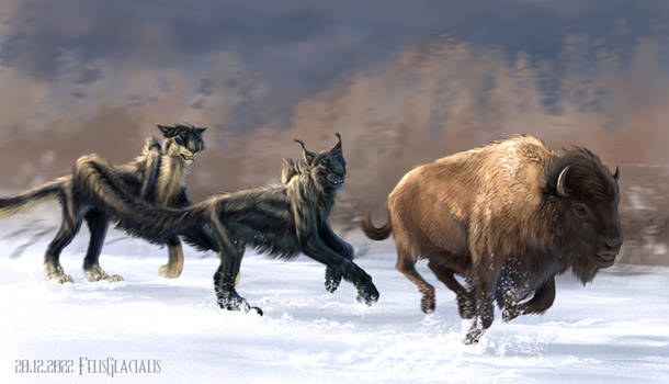 Chasing a bison